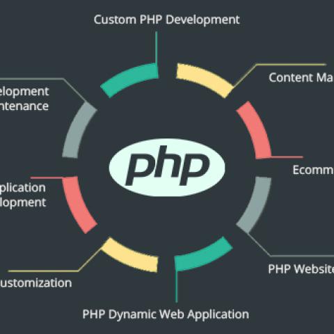 How to Choose the Best PHP Website Design Services in India?